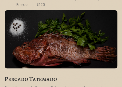 Template Premium «Elegante»